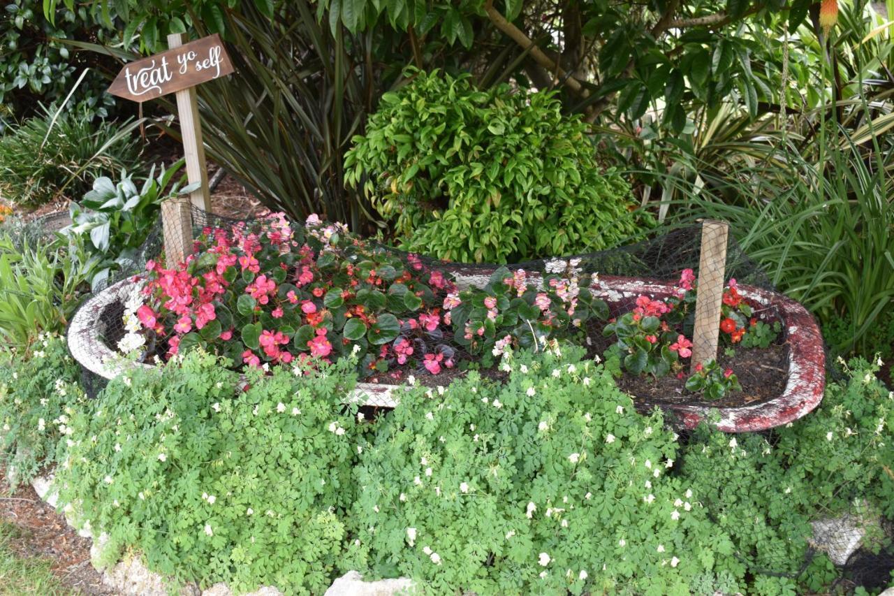 Olivista Bed and Breakfast Masterton Εξωτερικό φωτογραφία