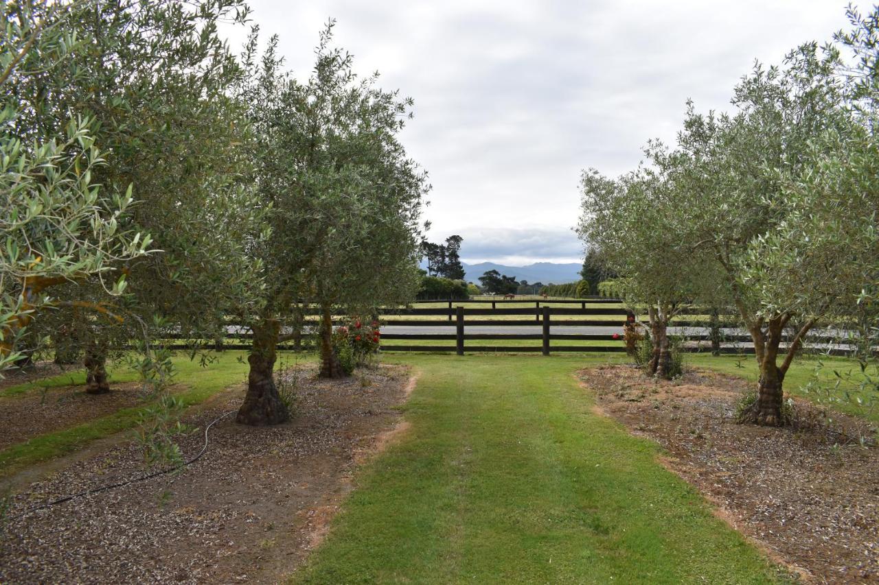 Olivista Bed and Breakfast Masterton Εξωτερικό φωτογραφία