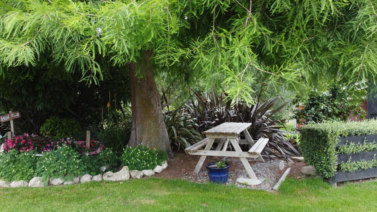 Olivista Bed and Breakfast Masterton Εξωτερικό φωτογραφία