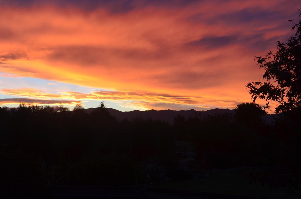 Olivista Bed and Breakfast Masterton Εξωτερικό φωτογραφία